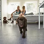 Danhostel Grindsted-billund Vandrerhjem *