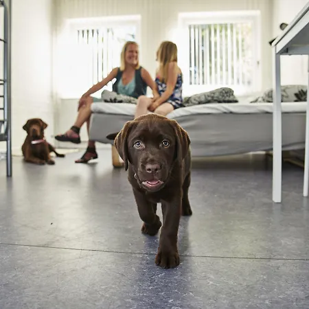 And Sleep - Billund Auberge de jeunesse *