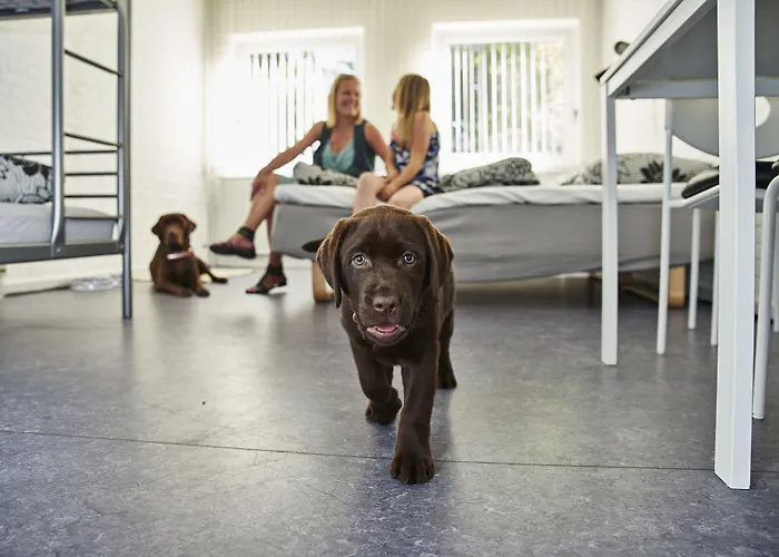 And Sleep - Billund Hostel *